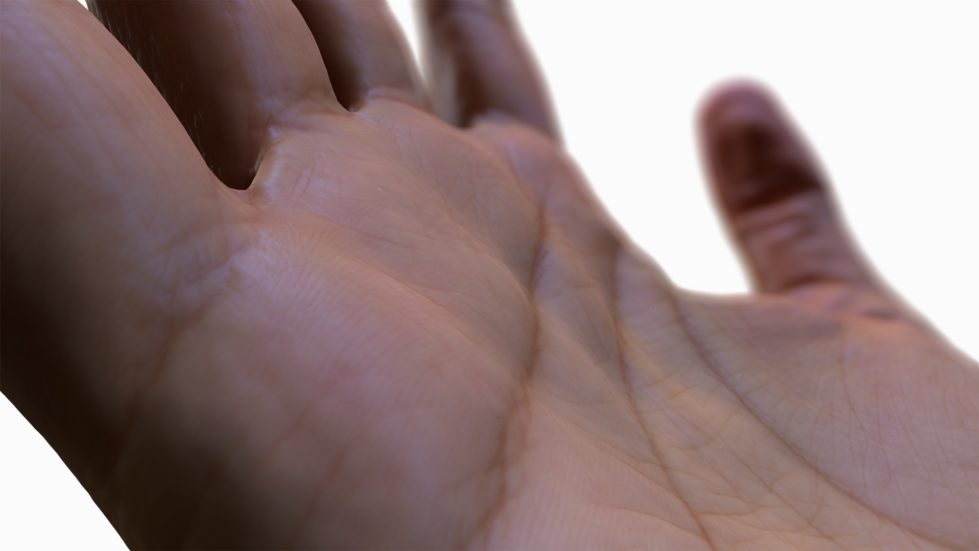 Male hand 3D texture maps